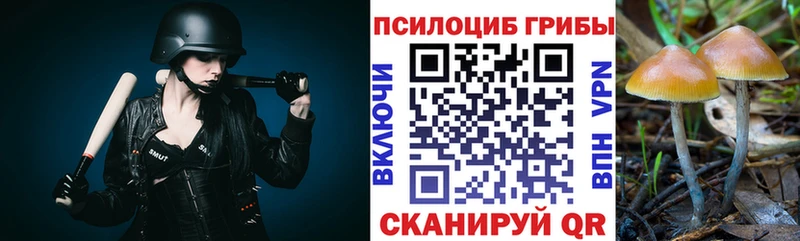 МЕГА зеркало Чаплыгин Галлюциногенные грибы мухоморы наркошоп